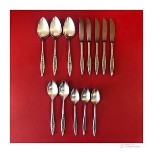 Vintage Stainless Steel JAPAN PMCM Flatware 13 Pc Vines Thorns Unique Floral